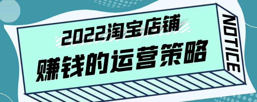 震宇老师·2022年淘宝店铺赚钱的运营策略,全店动销策略_拾壹资源网