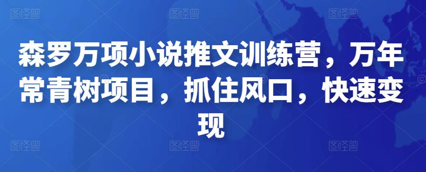 森罗万项小说推文训练营，万年常青树项目，抓住风口，快速变现_拾壹资源网