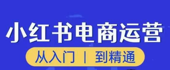 顽石小红书电商高阶运营课程,从入门到精通,玩法流程持续更新_拾壹资源网