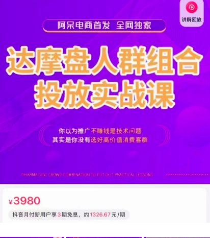 阿呆电商·达摩盘人群组合投放实战课,你以为推广不赚钱是技术问题,其实是你没有选好高价值消费客群_拾壹资源网