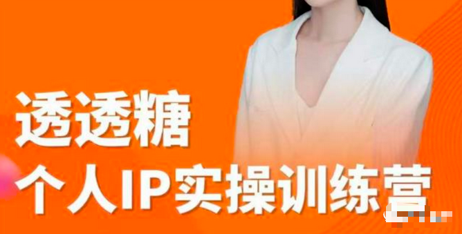 透透糖2023个人IP实操训练营，基础准备+短视频实操+高手进阶+变现落地+数据+电商_拾壹资源网