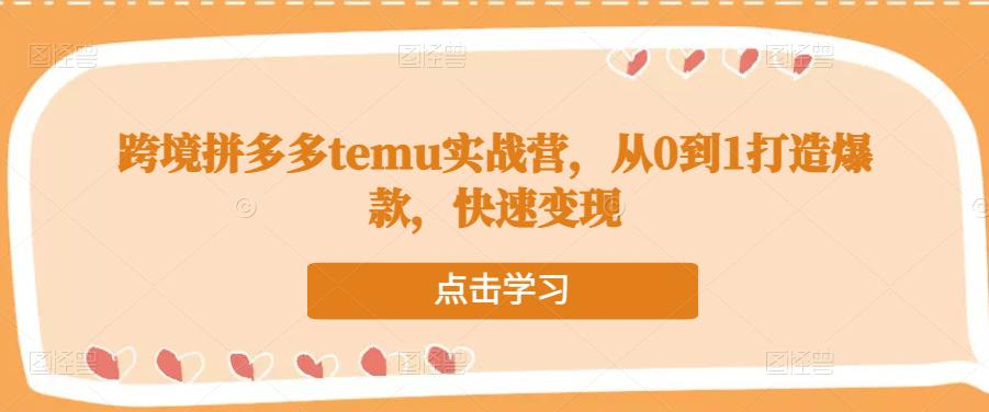 跨境拼多多temu实战营,从0到1打造爆款,快速变现_拾壹资源网