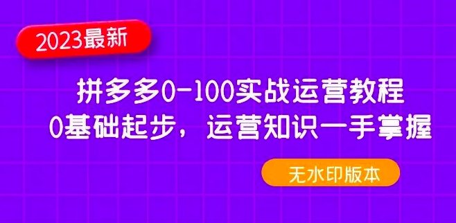 2023拼多多0-100实战运营教程,0基础起步,运营知识一手掌握_拾壹资源网