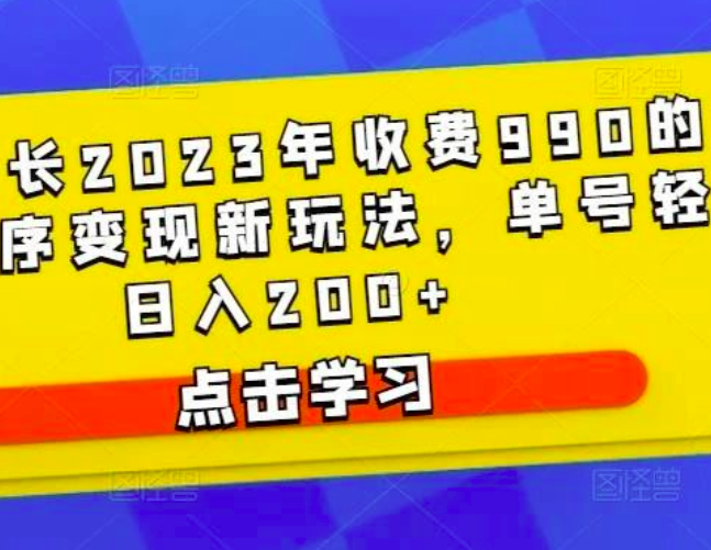 D1G馆长2023年收费990的抖音小程序变现新玩法,单号轻松日入200+_拾壹资源网