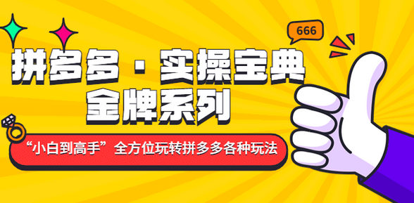 拼多多·实操宝典:金牌系列“小白到高手”带你全方位玩转拼多多各种玩法_拾壹资源网