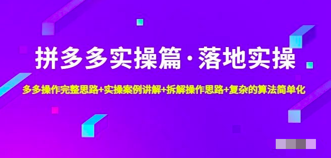 拼多多实战篇·落地实操:多多操作完整思路+实操案例讲解+拆解操作思路+复杂的算法简单化_拾壹资源网