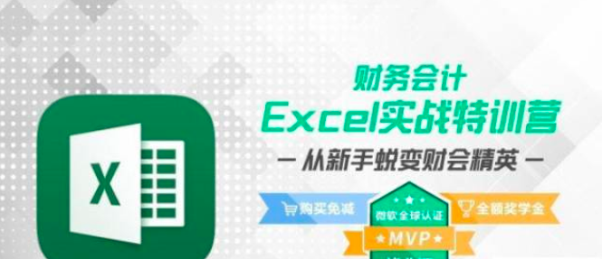 财务会计Excel实战特训营 | 从新手蜕变财会精英_拾壹资源网