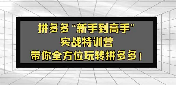 拼多多“新手到高手”实战特训营:带你全方位玩转拼多多!_拾壹资源网