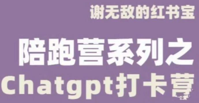 谢无敌ChatGPT打卡营,教你更好地使用ChatGPT来提高工作效率_拾壹资源网