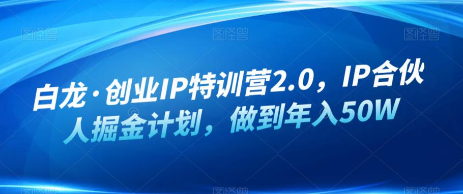 白龙·创业IP特训营2.0,IP合伙人掘金计划,做到年入50W_拾壹资源网