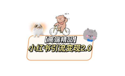 小红书最新引流变现教程,全网最新最详细的视频教程以及素材_拾壹资源网