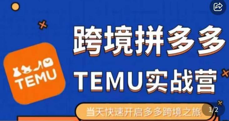 大鹏出海·拼多多跨境temu运营指导,开店注册+选品+核价上架,日出千单实战课_拾壹资源网