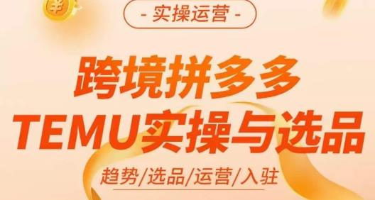 伍跃·跨境拼多多TEMU实操与选品,趋势/选品/运营/入住(27节完整)_拾壹资源网