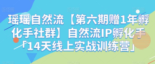 瑶瑶自然流【第六期赠1年孵化手社群】自然流IP孵化手「14天线上实战训练营」_拾壹资源网