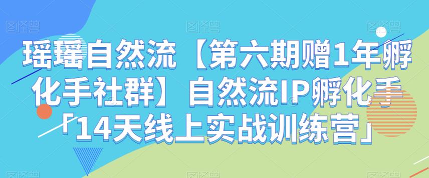 图片[1]_瑶瑶自然流【第六期赠1年孵化手社群】自然流IP孵化手「14天线上实战训练营」