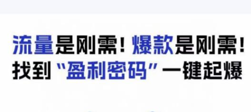 电商盈利精品课:6大盈利密码让产品更好卖,流量是刚需!爆款是刚需!找到”盈利密码”一键起爆_拾壹资源网