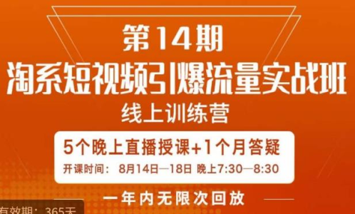 南掌柜·淘系短视频引爆流量实战班，短视频是一个没有天花板的流量入口_拾壹资源网