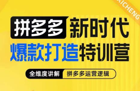 玺承·拼多多新时代爆款打造特训营,全维度讲解拼多多运营逻辑_拾壹资源网