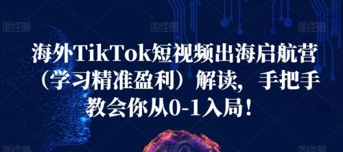 海外TikTok短视频出海启航营(学习精准盈利)解读,手把手教会你从0-1入局!_拾壹资源网