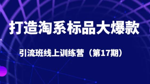打造淘系标品大爆款引流班线上训练营（第17期）5天直播授课_拾壹资源网