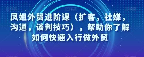 凤姐外贸进阶课(扩客,社媒,沟通,谈判技巧),帮助你了解如何快速入行做外贸_拾壹资源网