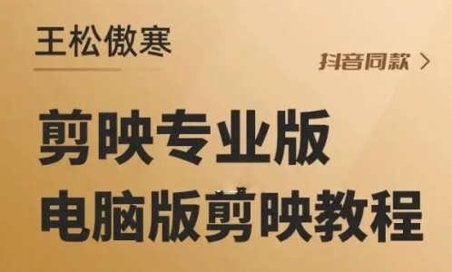 王松傲寒剪映专业版教学_拾壹资源网