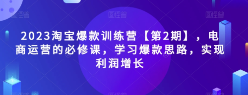 2023淘宝爆款训练营【第2期】，电商运营的必修课，学习爆款思路，实现利润增长_拾壹资源网