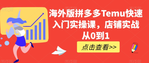 海外版拼多多Temu快速入门实操课,店铺实战从0到1_拾壹资源网