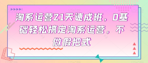 淘系运营21天速成班，0基础轻松搞定淘系运营，不做假把式_拾壹资源网