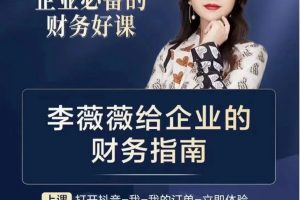 李薇薇给企业的财务指南-老板财务总监高管必看_拾壹资源网