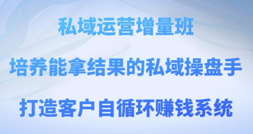 私域运营增量班，培养能拿结果的私域操盘手，打造客户自循环赚钱系统_拾壹资源网