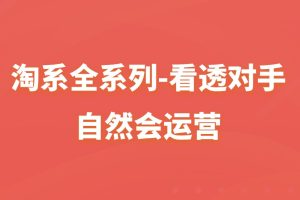 淘系全系列-看透对手,自然会运营_拾壹资源网