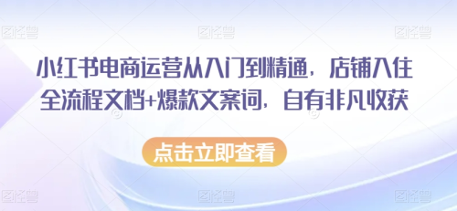 小红书电商运营从入门到精通,店铺入住全流程文档+爆款文案词,自有非凡收获_拾壹资源网