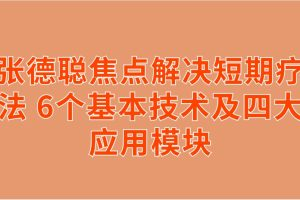 张德聪焦点解决短期疗法 6个基本技术及四大应用模块_拾壹资源网