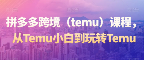 拼多多跨境(temu)课程,从Temu小白到玩转Temu_拾壹资源网