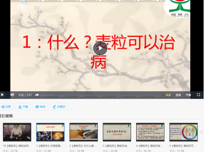 中医麦粒灸视频课程16集_拾壹资源网