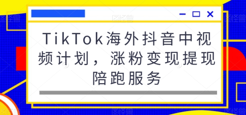 TikTok海外抖音中视频计划,涨粉变现提现陪跑服务_拾壹资源网