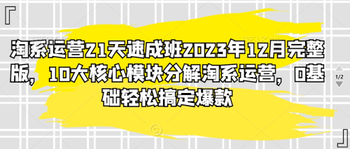 淘系运营21天速成班2023年12月完整版,10大核心模块分解淘系运营,0基础轻松搞定爆款_拾壹资源网