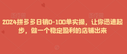 2024拼多多日销0-100单实操,让你迅速起步,做一个稳定盈利的店铺出来_拾壹资源网