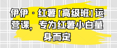伊伊·红薯【高级班】运营课，专为红薯小白量身而定_拾壹资源网