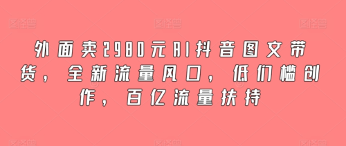 外面卖2980元AI抖音图文带货,全新流量风口,低门槛创作,百亿流量扶持_拾壹资源网