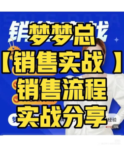 梦梦总-销售心法-销售落地实战分享_拾壹资源网