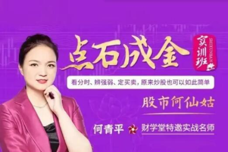 财学堂股市何仙姑何青平点石成金系统课20节_拾壹资源网