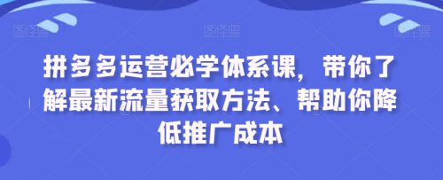 拼多多运营必学体系课,带你了解最新流量获取方法、帮助你降低推广成本_拾壹资源网