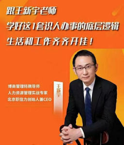 《王新宇·流程性思维课》~—套生活工作识人办事的底层逻辑_拾壹资源网