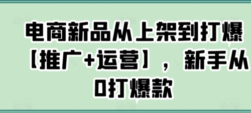 电商新品从上架到打爆【推广+运营】,新手从0打爆款_拾壹资源网