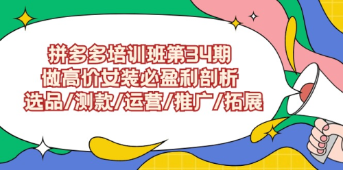 拼多多培训班第34期：做高价女装必盈利剖析 选品/测款/运营/推广/拓展_拾壹资源网