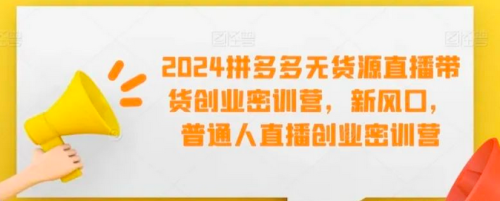 2024拼多多无货源直播带货创业密训营,新风口,普通人直播创业密训营_拾壹资源网