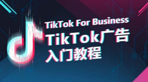 TikTok广告入门教程，从0到1掌握TikTok投放的全流程_拾壹资源网