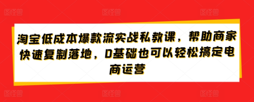 淘宝低成本爆款流实战私教课,帮助商家快速复制落地,0基础也可以轻松搞定电商运营_拾壹资源网
